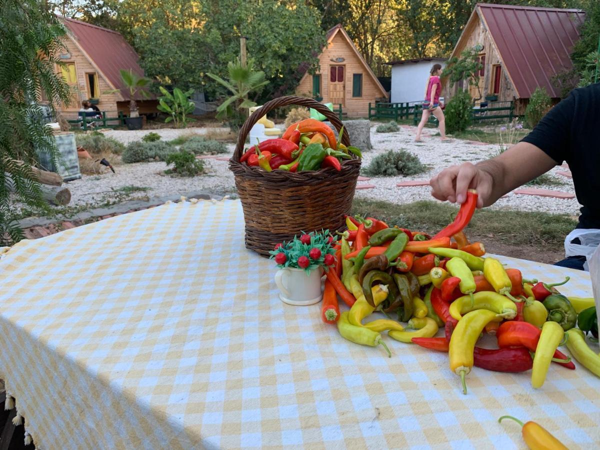 Pusula Bungalow Otel كاياكوي المظهر الخارجي الصورة